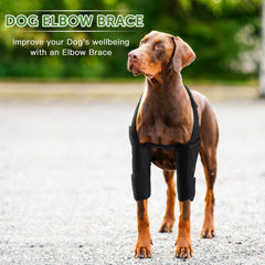Furtent attelle-coude pour chien, stabilisation et mobilite pendant les activites.