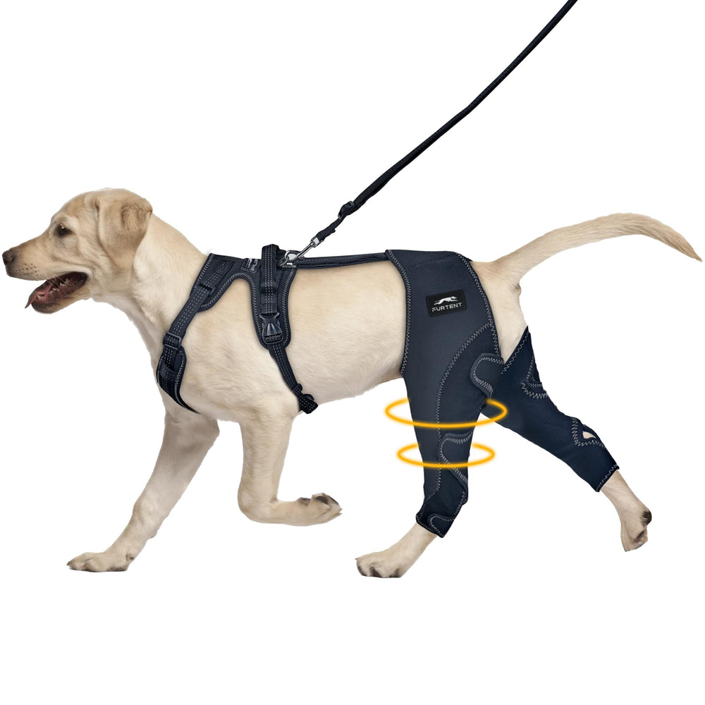 Furtent attelle-genou-chien: soutien stable pour la patte arrière.