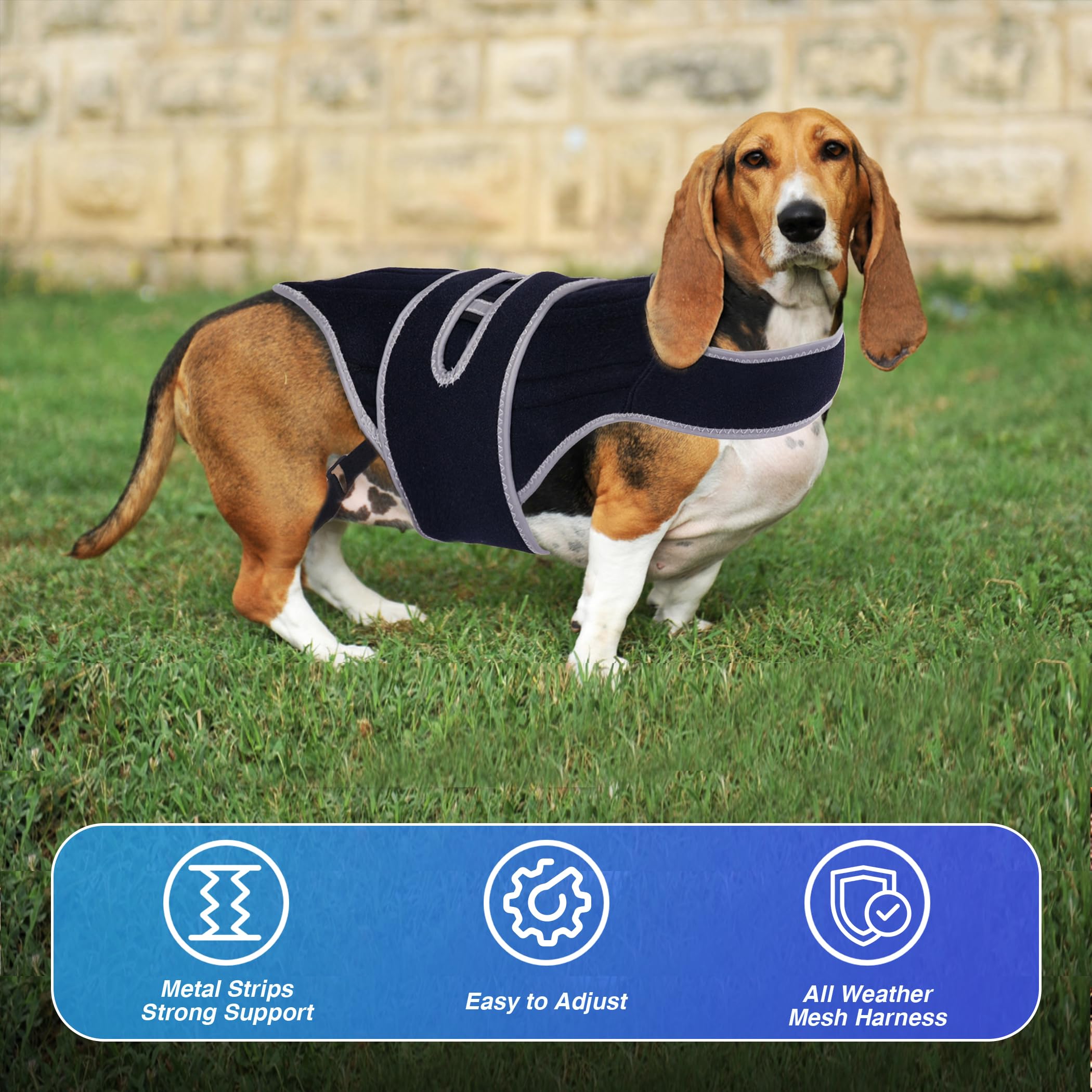Furtent brace-dos-chien matiere-respirante: confort durable et peau saine.