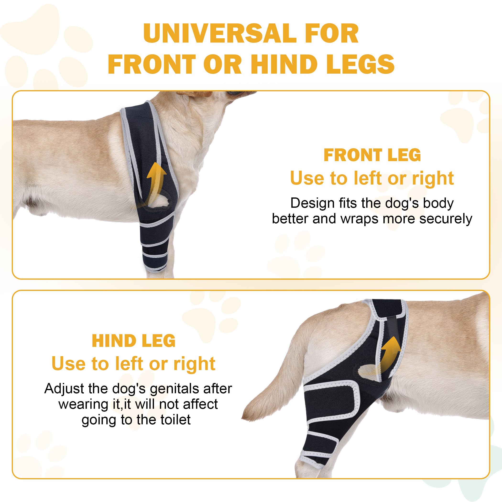 Furtent genou-chien, guide taille facilite un choix adapté et usage sans friction.