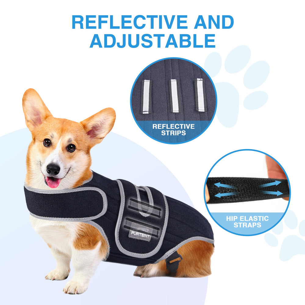 Furtent orthèse dorsale chien IVDD lavage à la main et réutilisable