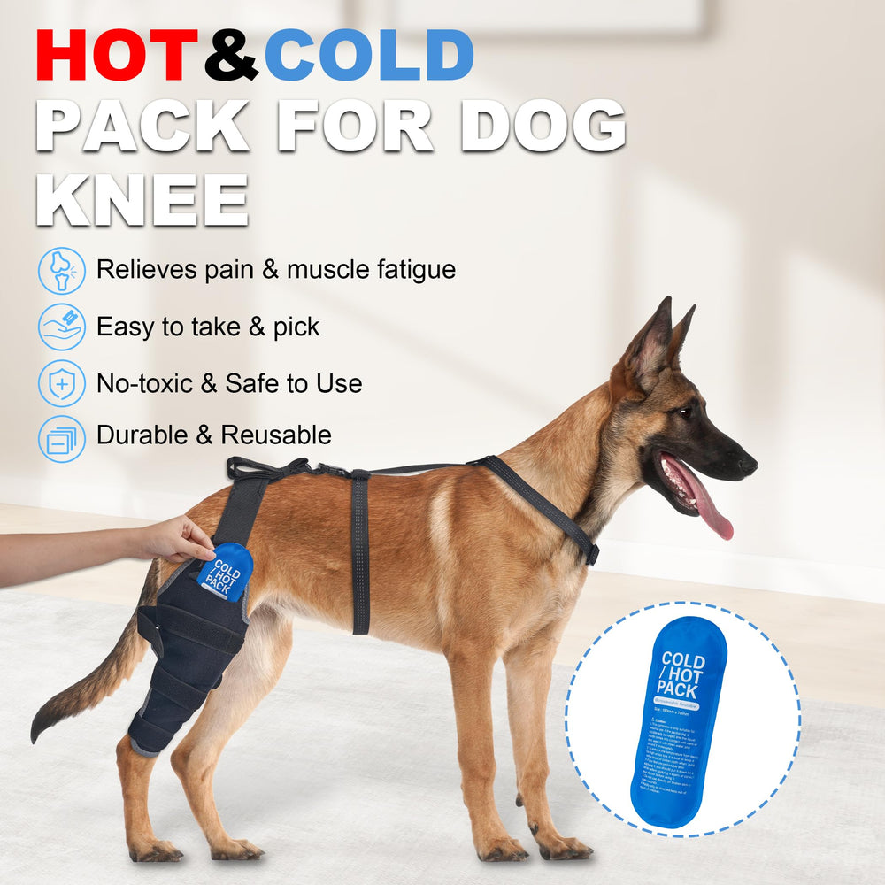 Poche gel chaleur Furtent appliquée au genou arrière du chien.