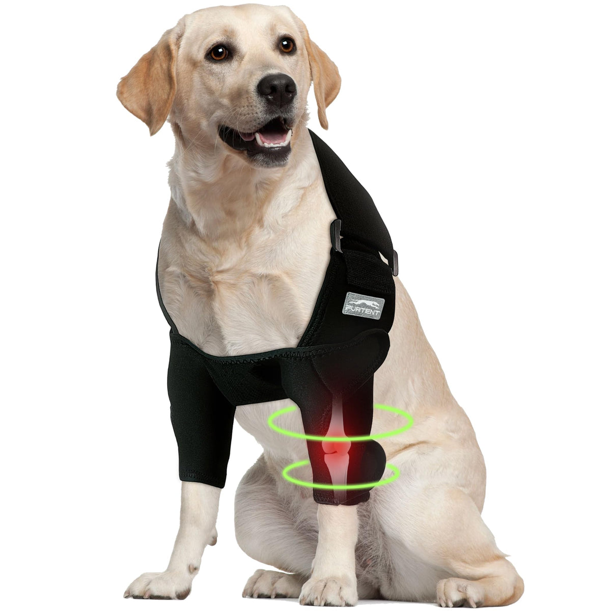 Furtent protege-coude pour chien, epaisseur 4 mm, douceur et durabilite pour les sorties.