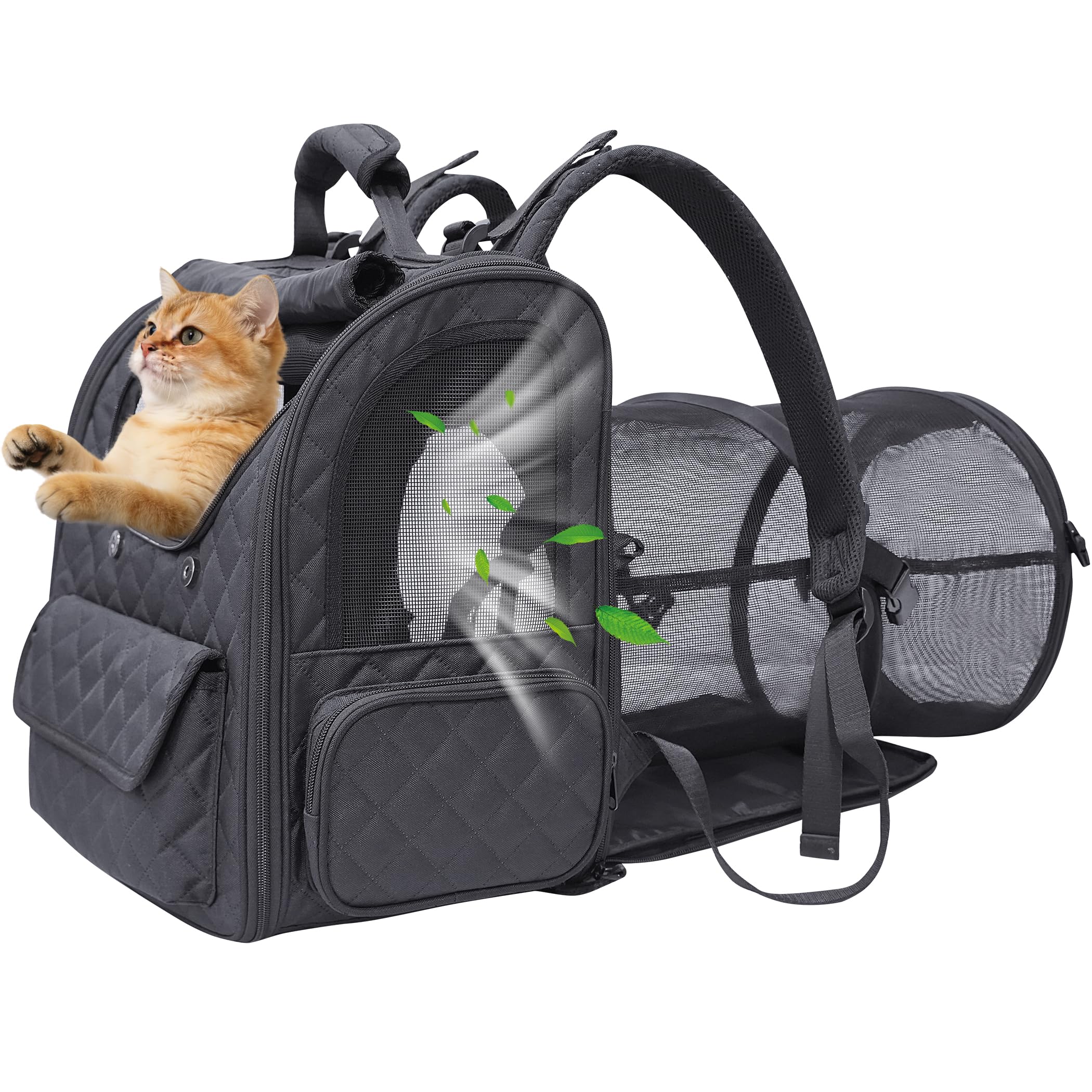 Furtent sac d animal tunnel extensible offrant un espace de repos.