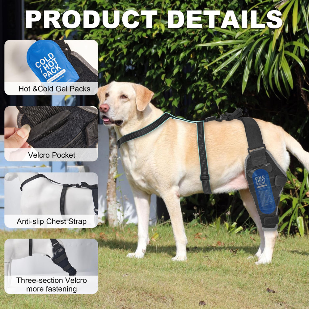 Utilisation à domicile Furtent pour soin du genou du chien.