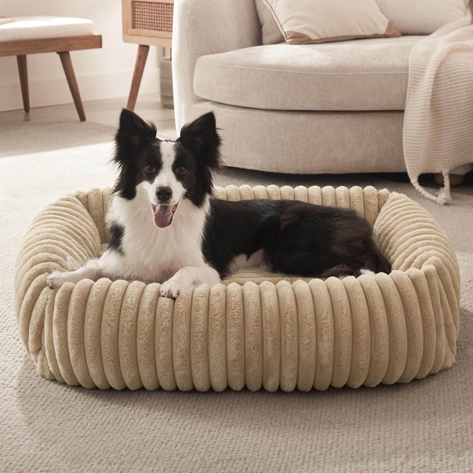FURTIME lit chien moyen avec soutien du cou pour un repos paisible.