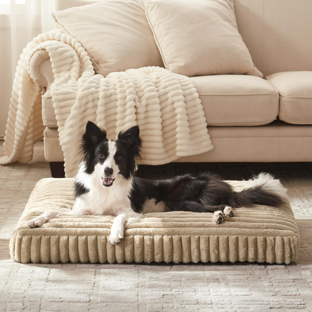 Lit chien Furtime avec housse amovible lavable pour entretien pratique.