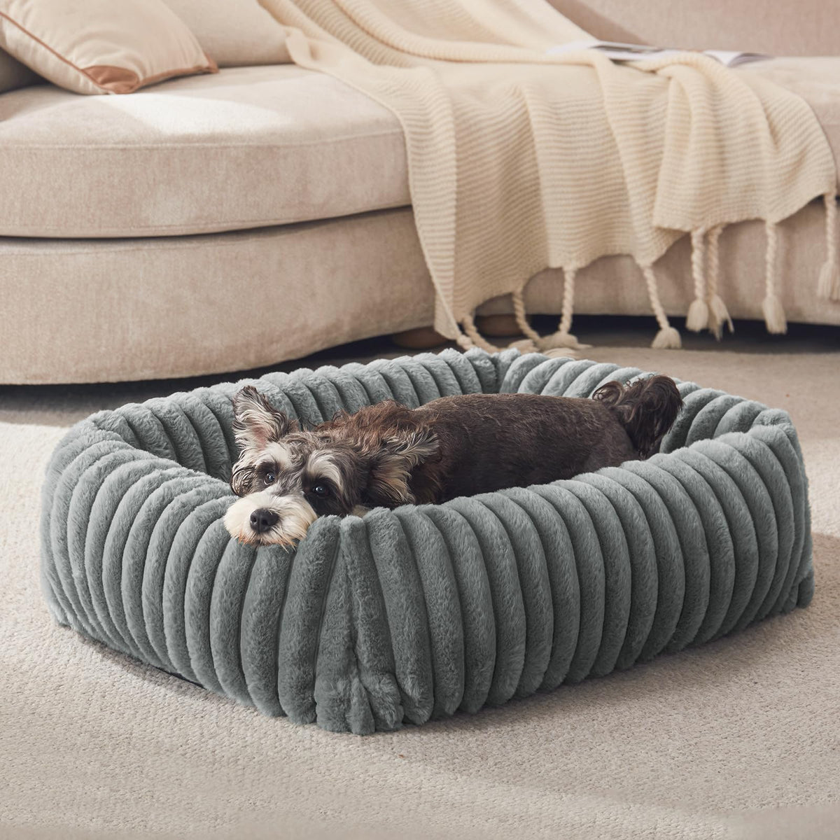 Lit orthopédique FURTIME pour petit chien avec soutien du cou.