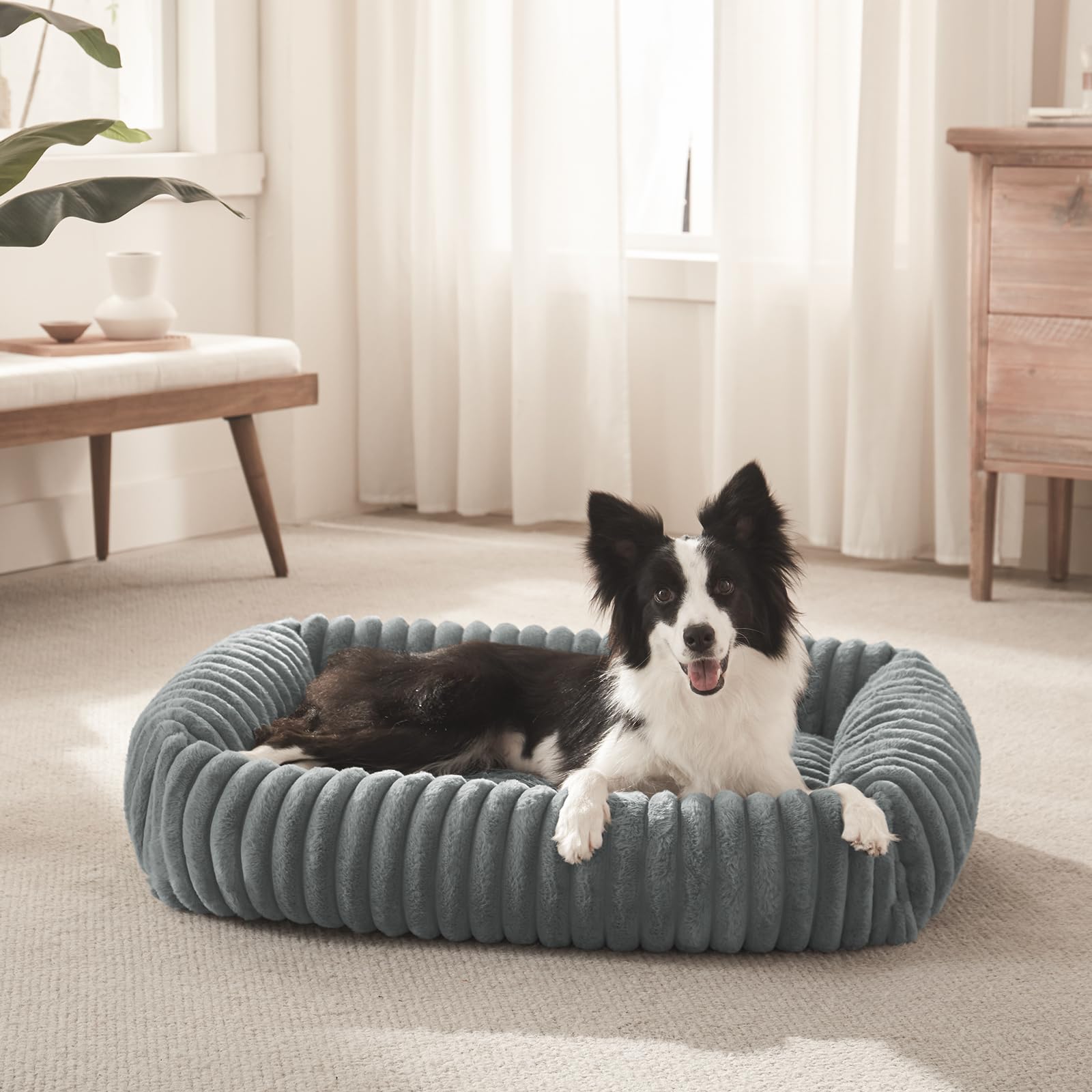 Tailles variées FURTIME pour petits chiens et chiots.