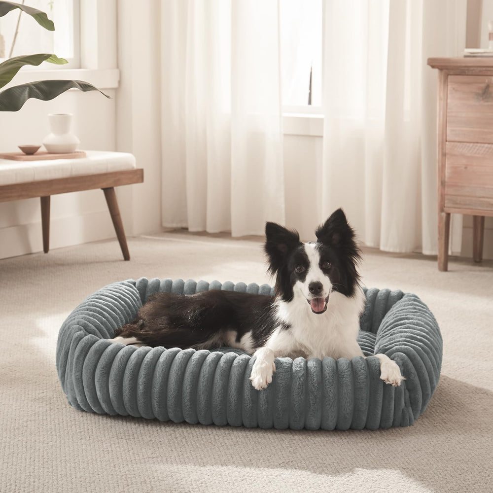 Tailles variées FURTIME pour petits chiens et chiots.