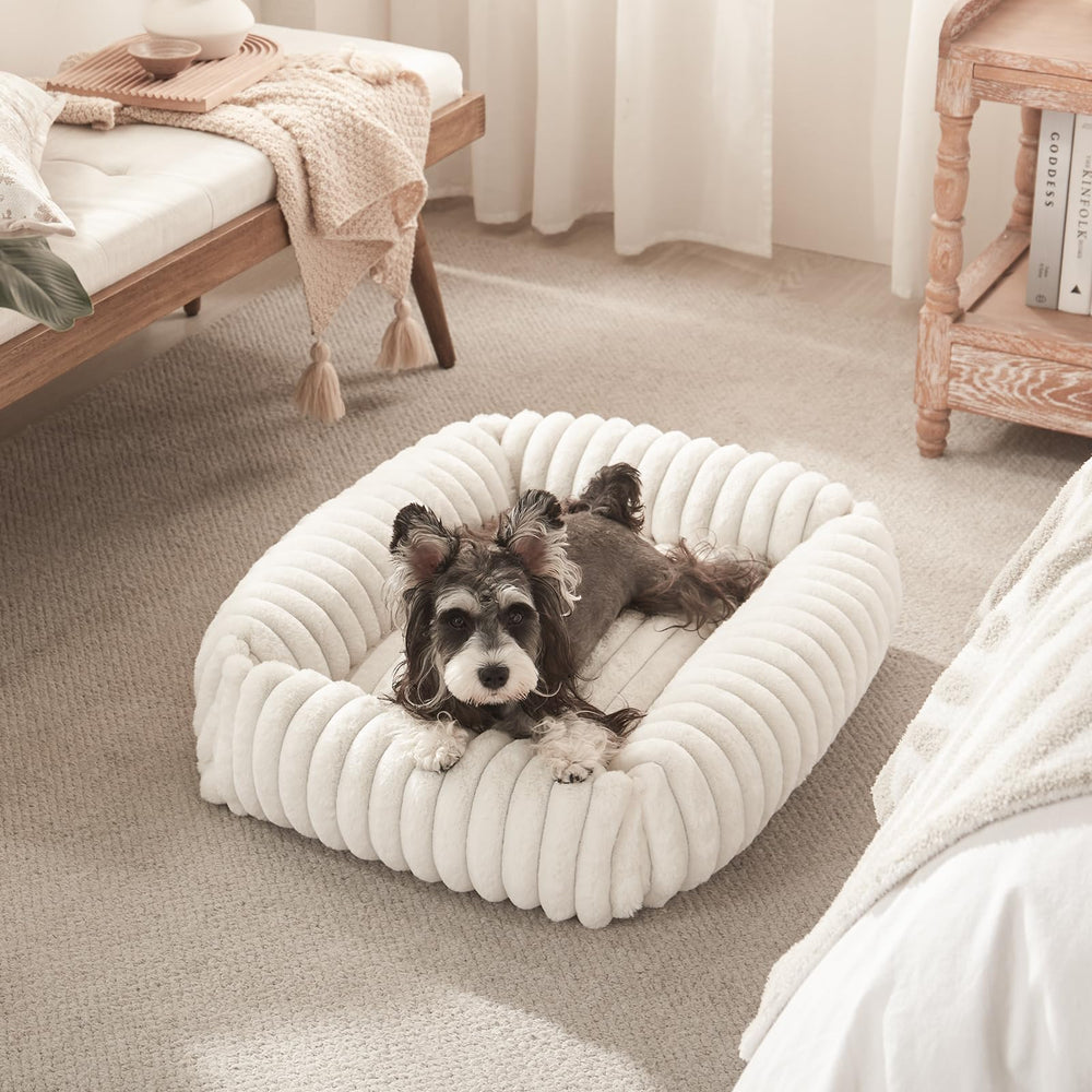 Usage quotidien FURTIME lit pour petite chien