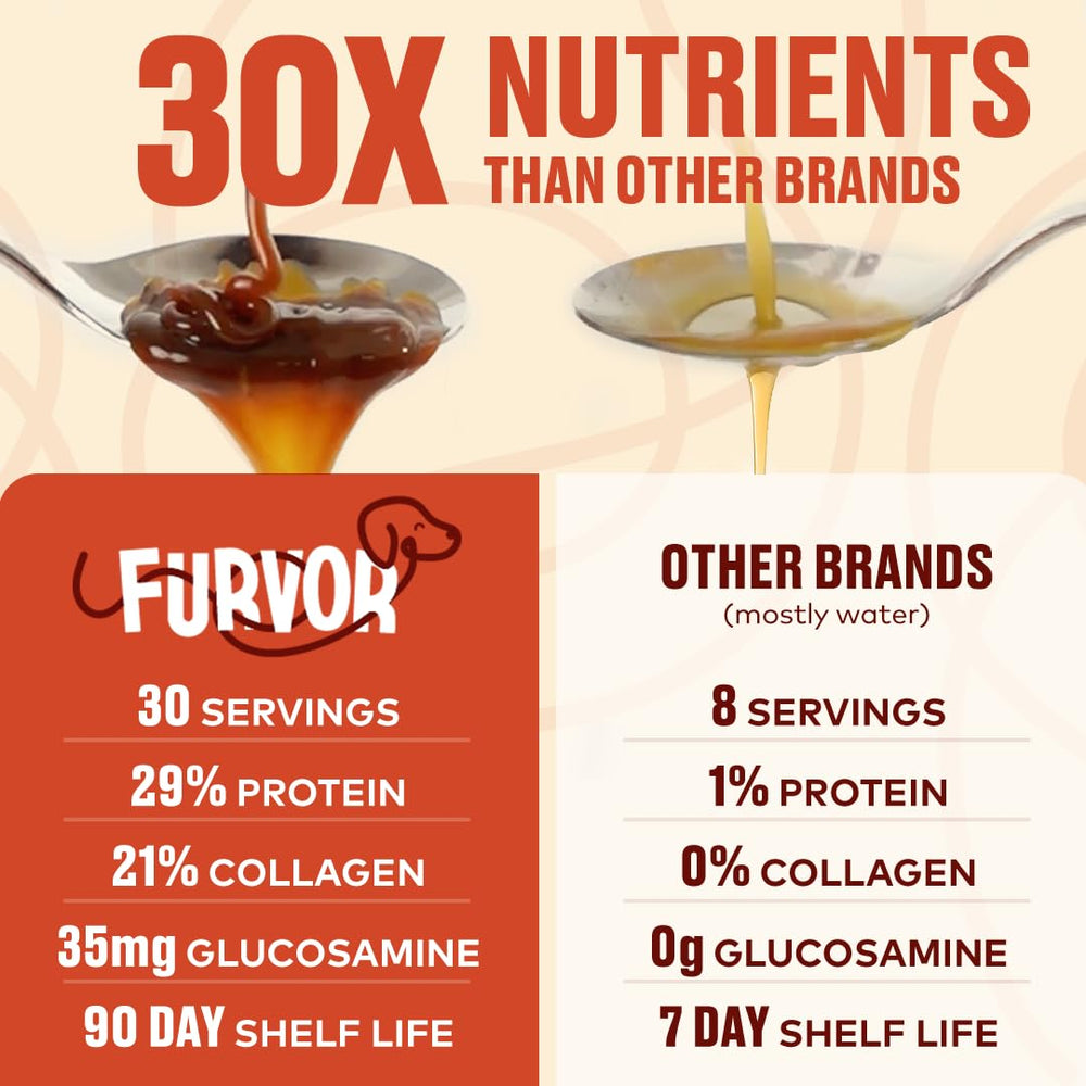 Furvor Gourmet Bouillon Boeuf Chien: repas savoureux qui stimule l’appétit.