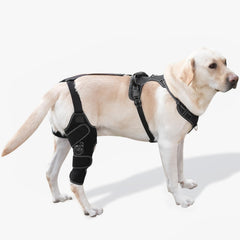 FurWell brace-genou-chien-ajustable assure un soutien personnalisé pendant la récupération.