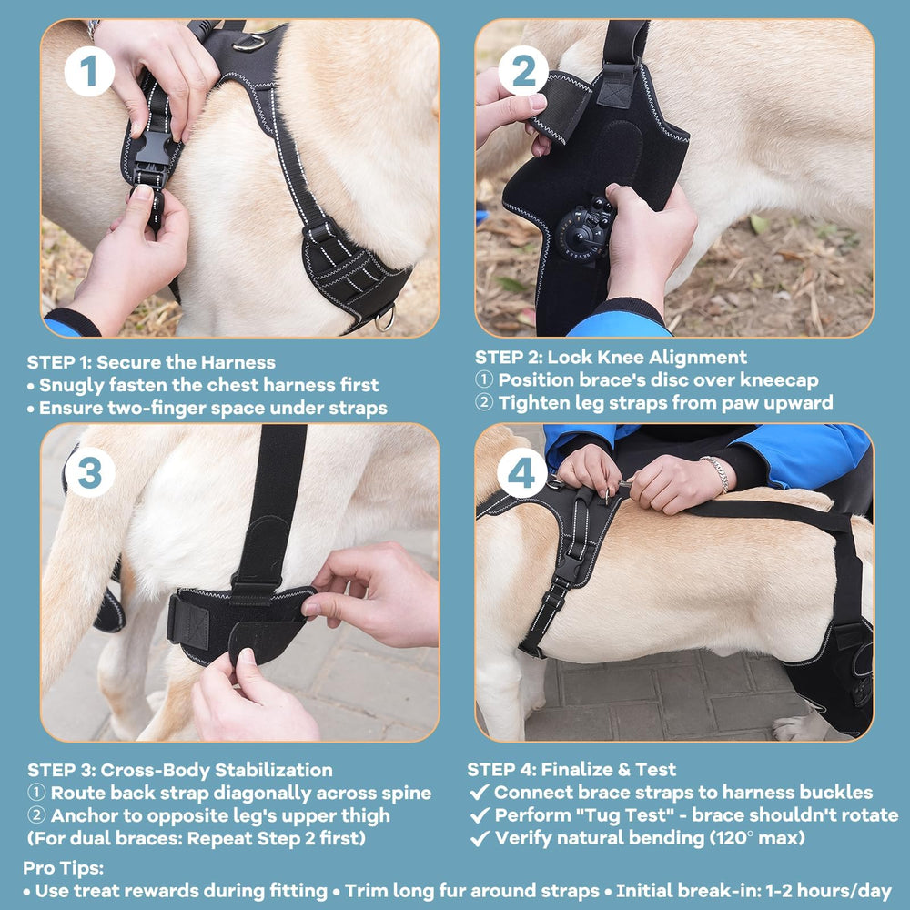 FurWell brace-genou-chien-prevention-blessures aide à prévenir les blessures lors des activités.