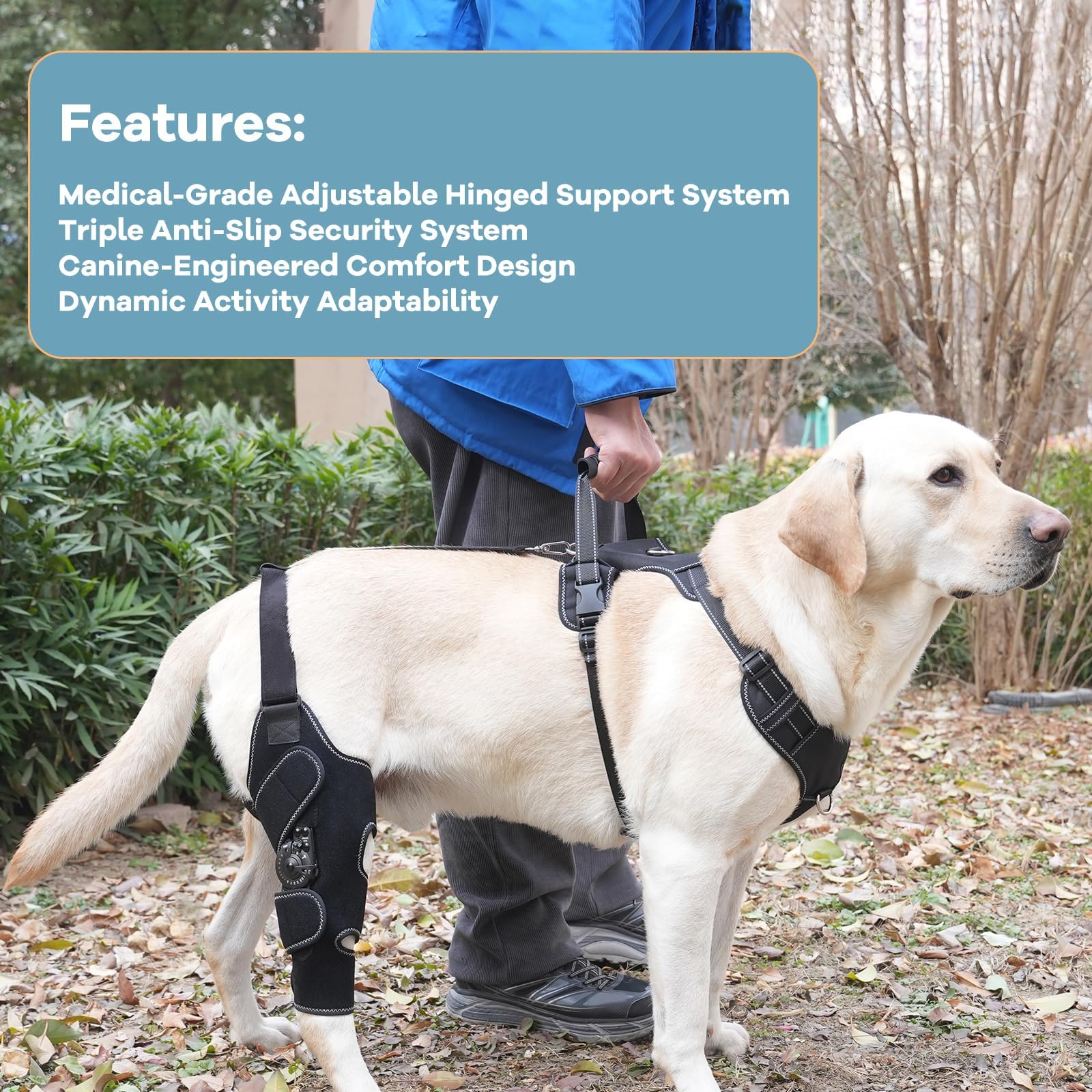 FurWell brace-genou-chien-serrage-reglable permet un ajustement précis pour chaque morphologie.
