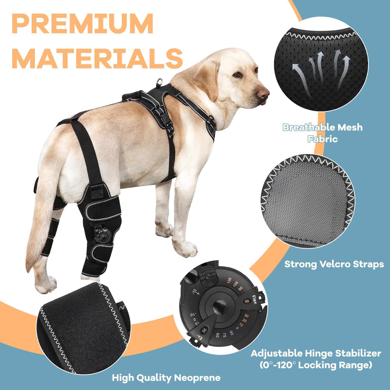 FurWell brace-genou-chien-stabilisation-apres-chirurgie soutient la récupération post-chirurgie.