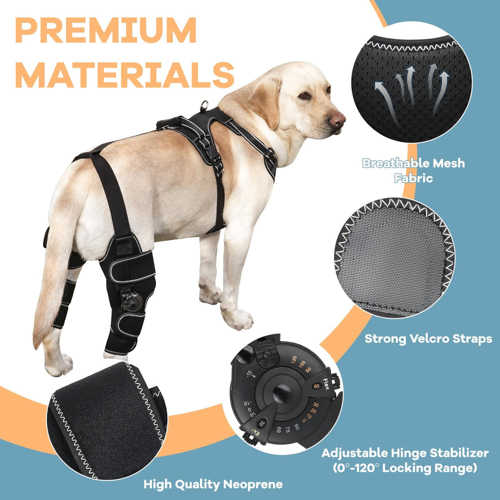 FurWell brace-genou-chien-stabilisation-apres-chirurgie soutient la récupération post-chirurgie.
