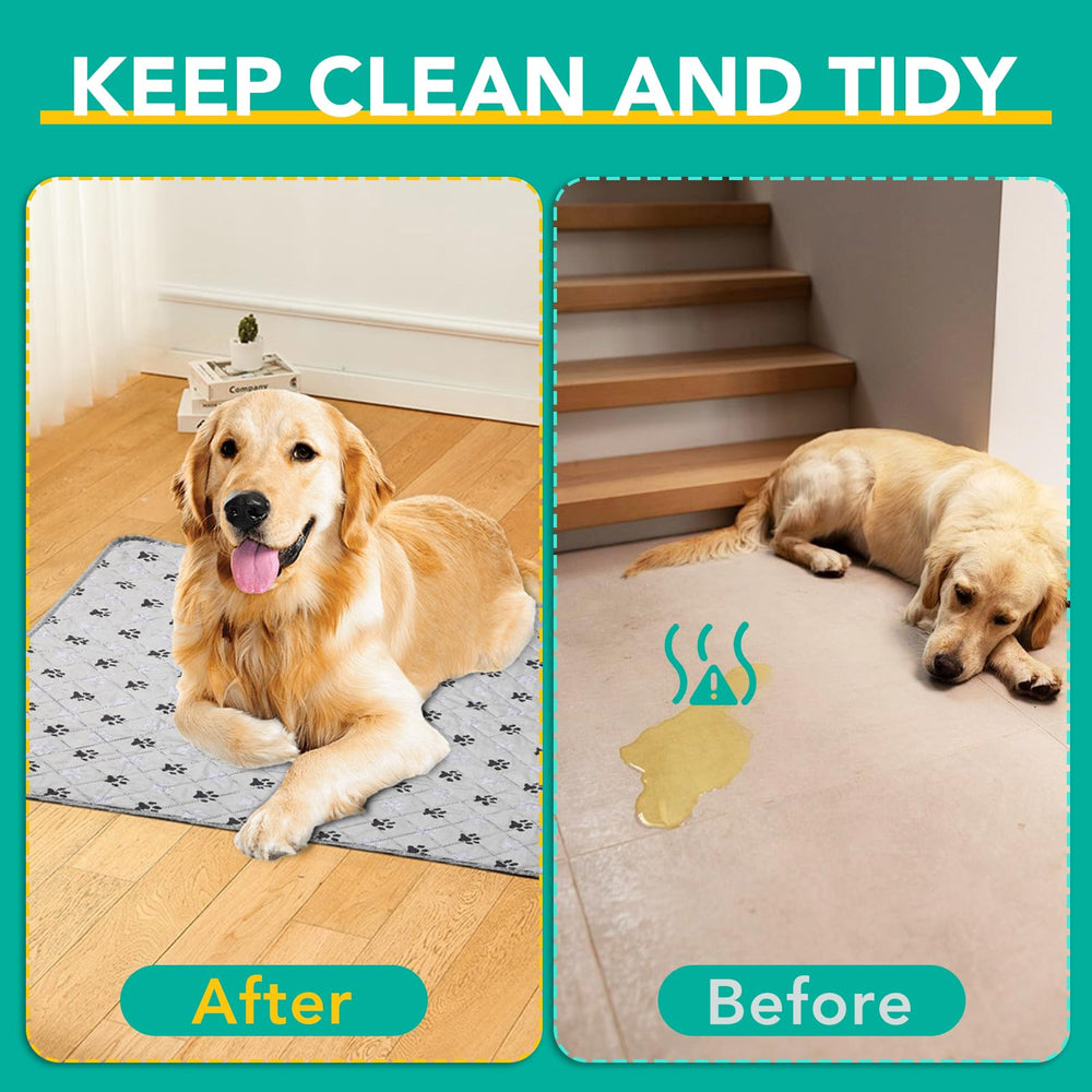 Tapis FURWEY dressage chiot usage facilité.