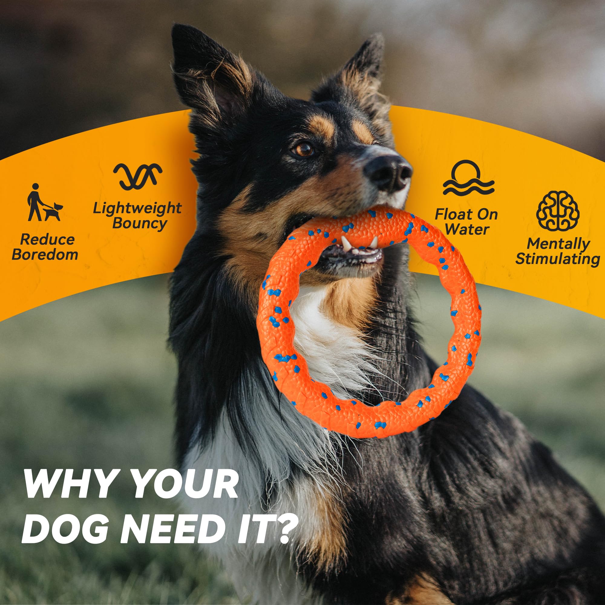FUSOTO Anneau Chien Sécurité Durable - résistance et sessions répétées