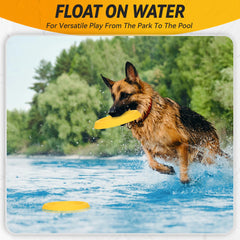 Chien attrapant le disque jaune FUSOTO en lancers rapides