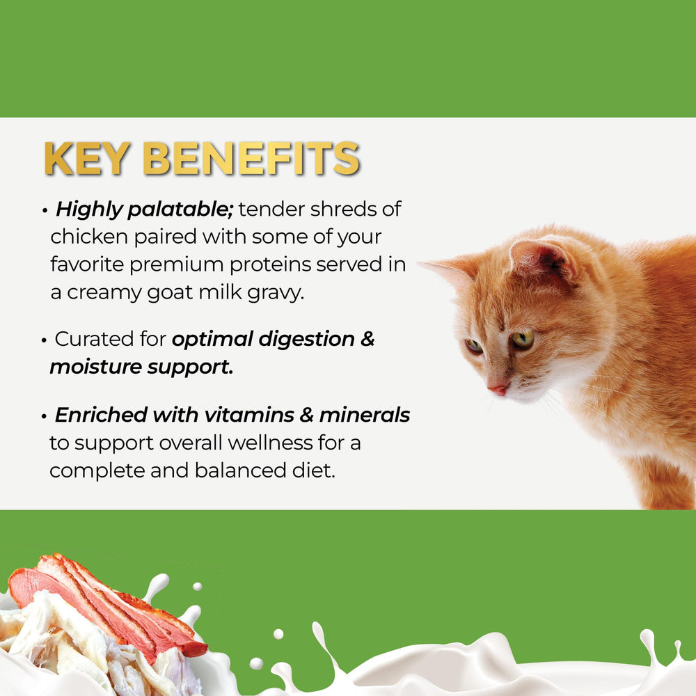 Pâtée Fussie Cat au lait de chèvre avec bouchée appétissante en boîte.