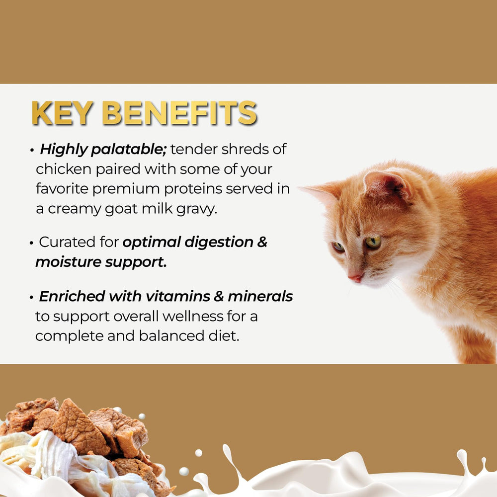 Conserve Fussie Cat au lait de chèvre prête à être servie.