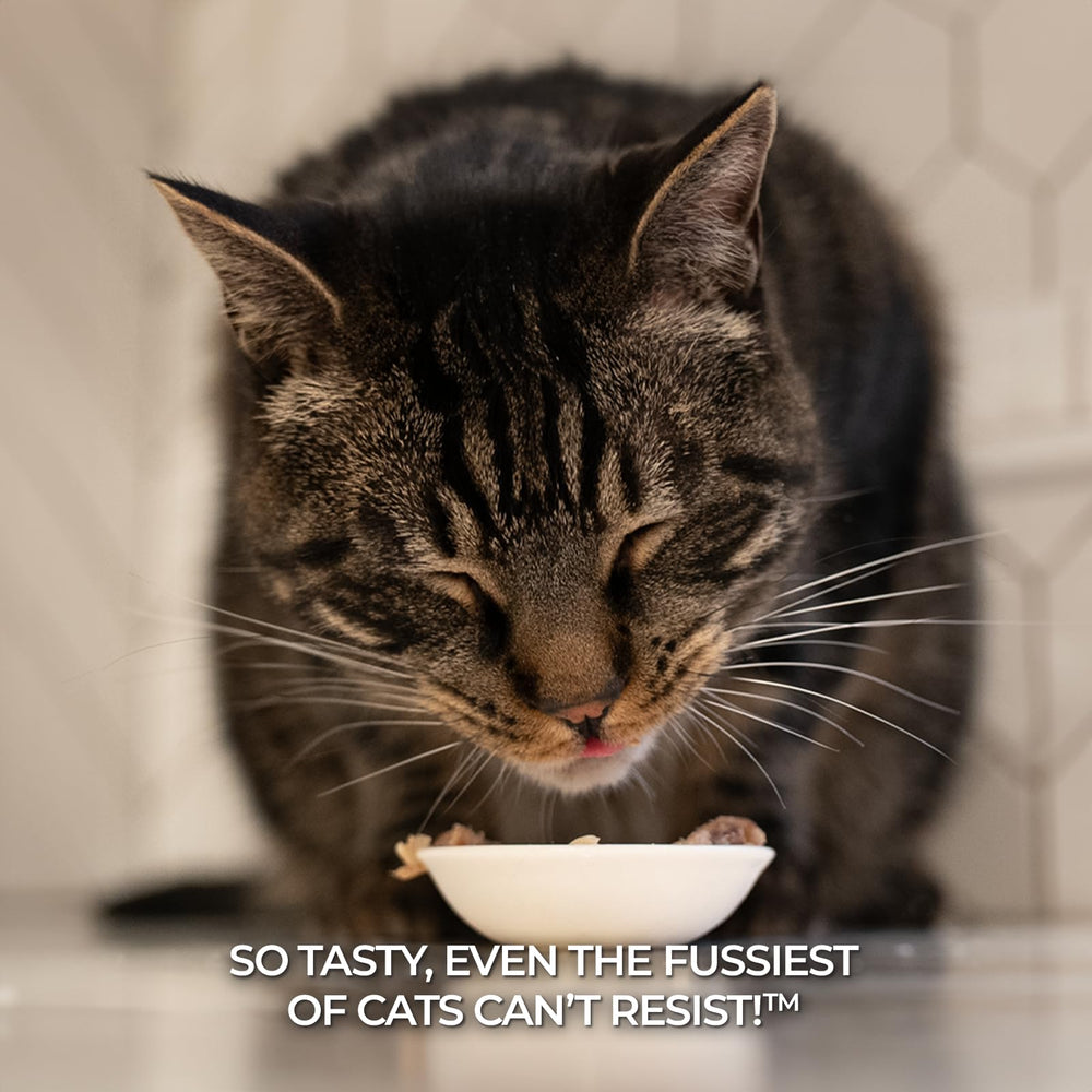 Fussie Cat emballage pratique: 24 boîtes, rangement facile.