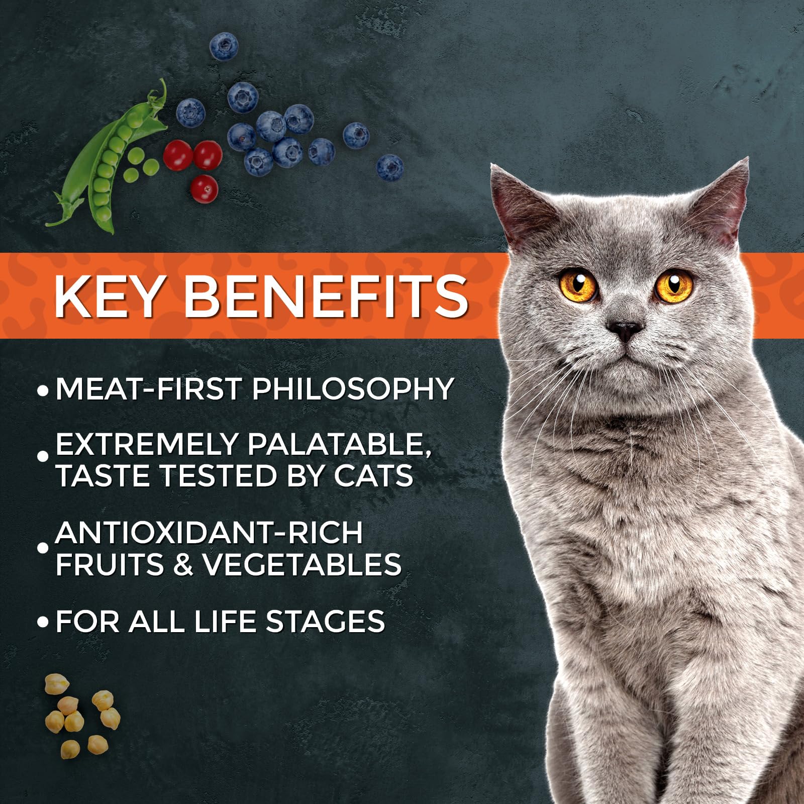 Fussie Cat Market Fresh, bol chat savoureux, prêt à être servi après ouverture.