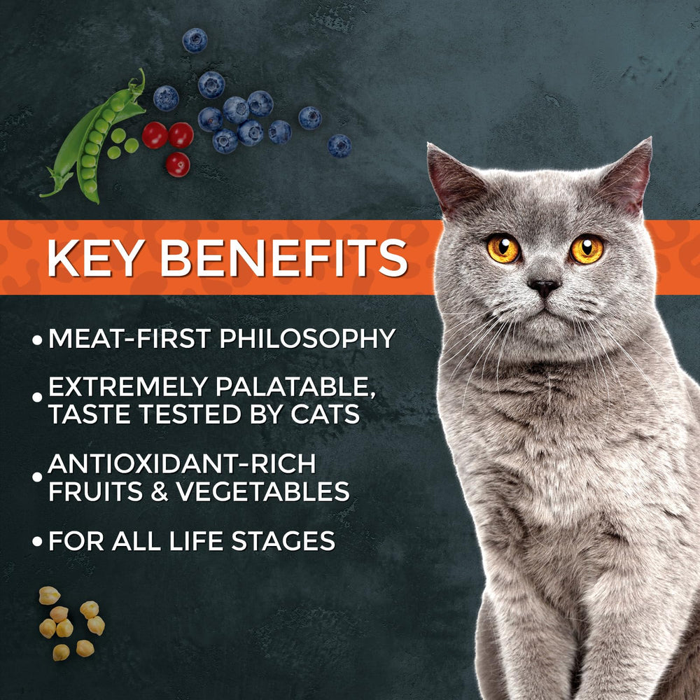 Fussie Cat Market Fresh, bol chat savoureux, prêt à être servi après ouverture.