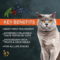 Fussie Cat Market Fresh, bol chat savoureux, prêt à être servi après ouverture.