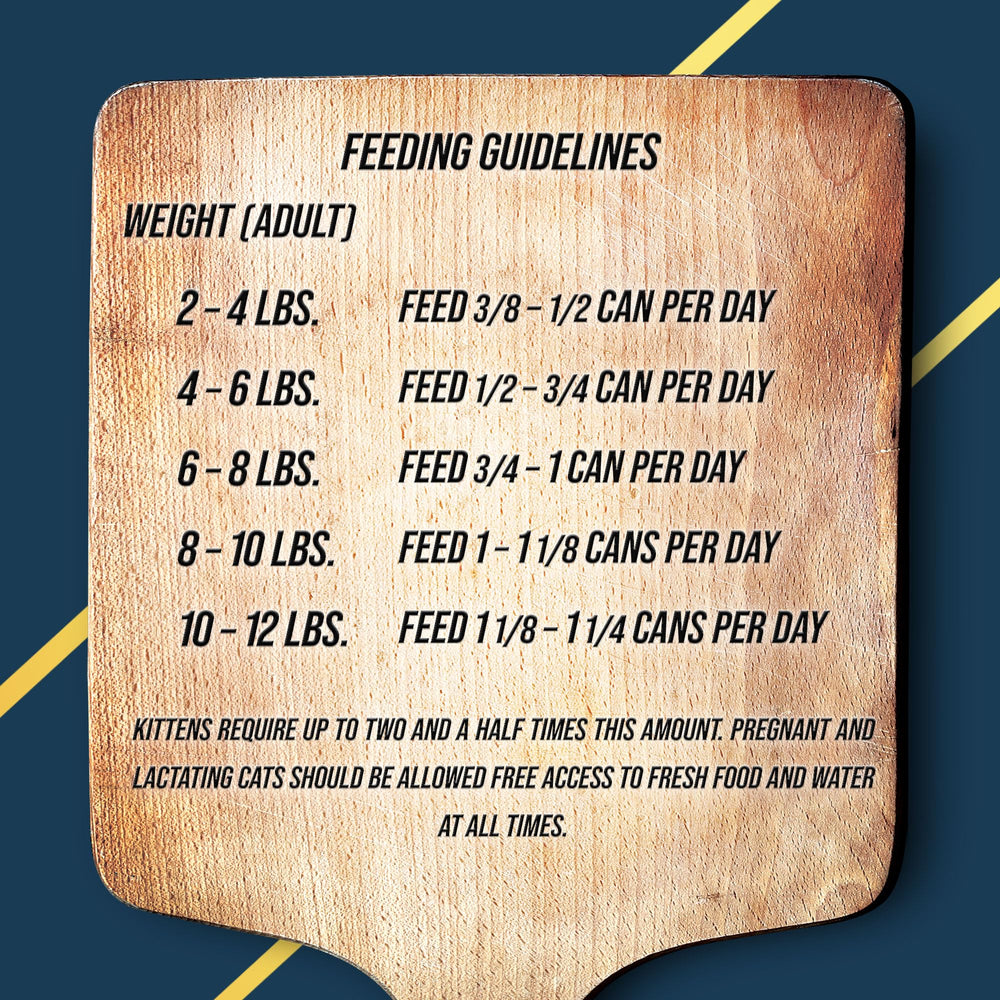 Fussie Cat Market Fresh – chat dégustant, texture plaisante, option pratique pour les repas quotidiens.