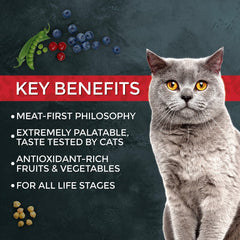 Fussie Cat Market Fresh – texture croquante des croquettes idéale pour les repas.