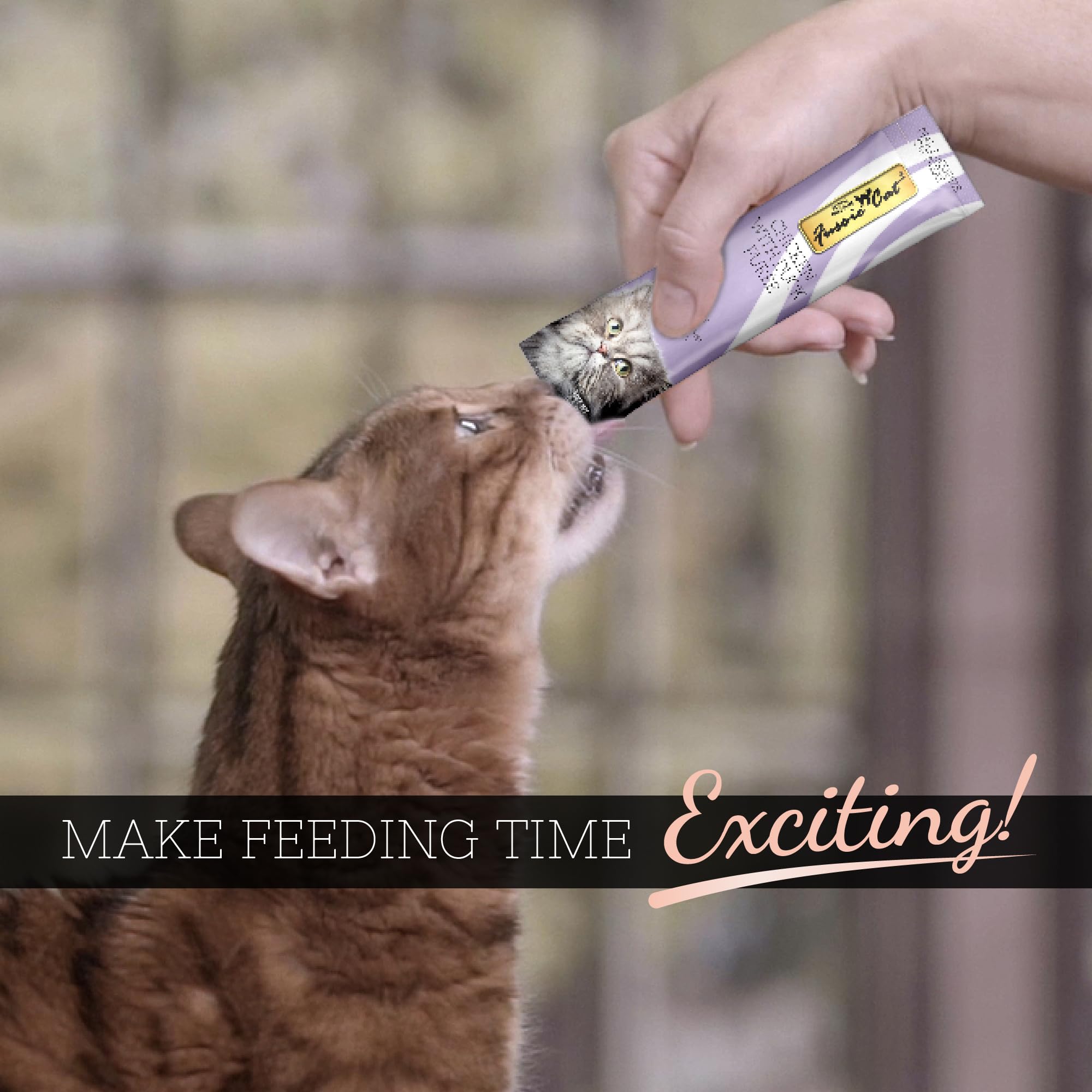 Emballage Fussie Cat Purée, pack de 4 sachets faciles.
