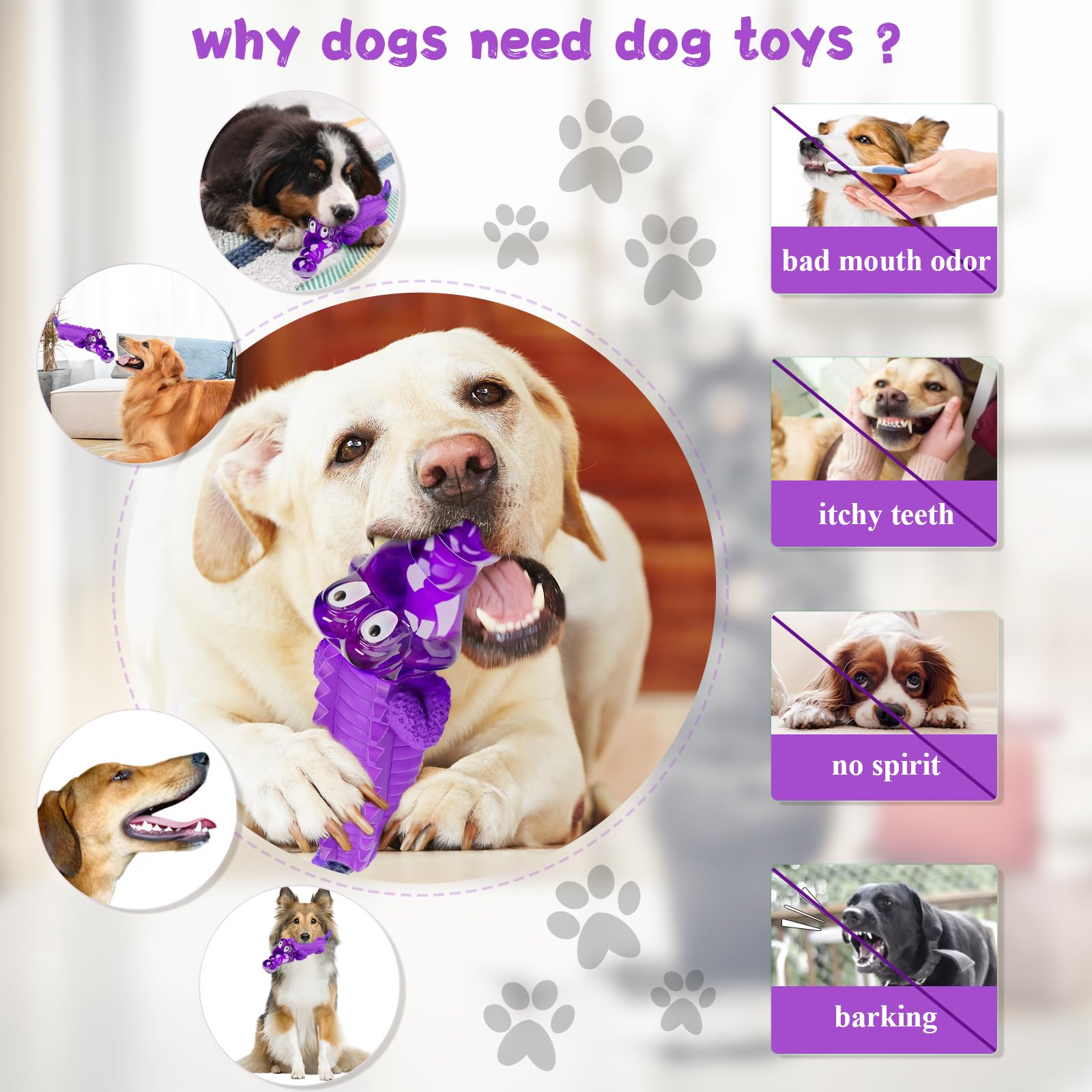 Jouet Fuufome anti-stress, apaise les chiens lors de la séparation.