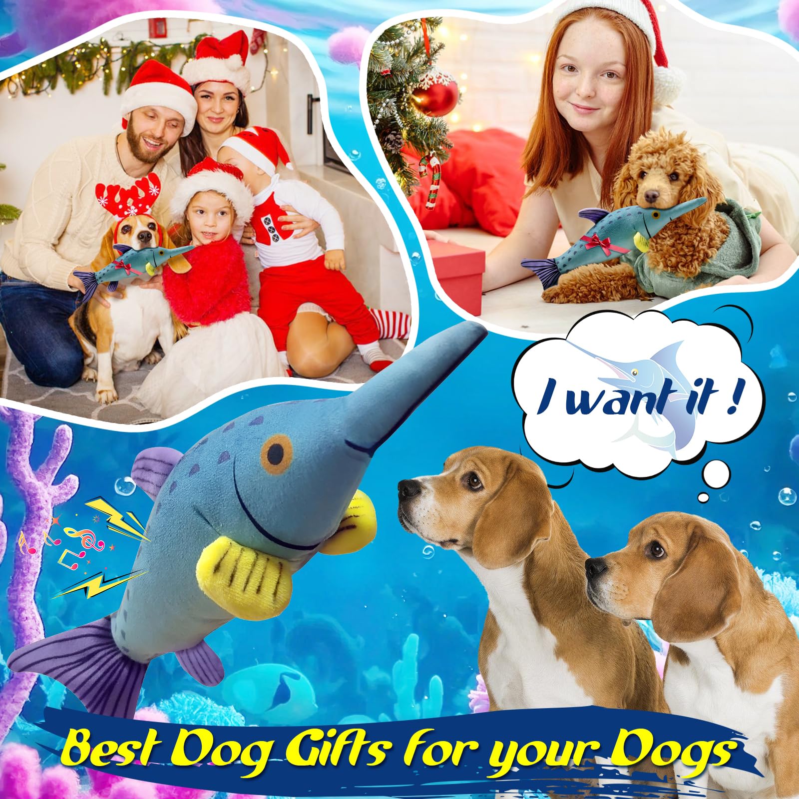 Jouet Fuufome poisson coloré, idée cadeau pour chien.