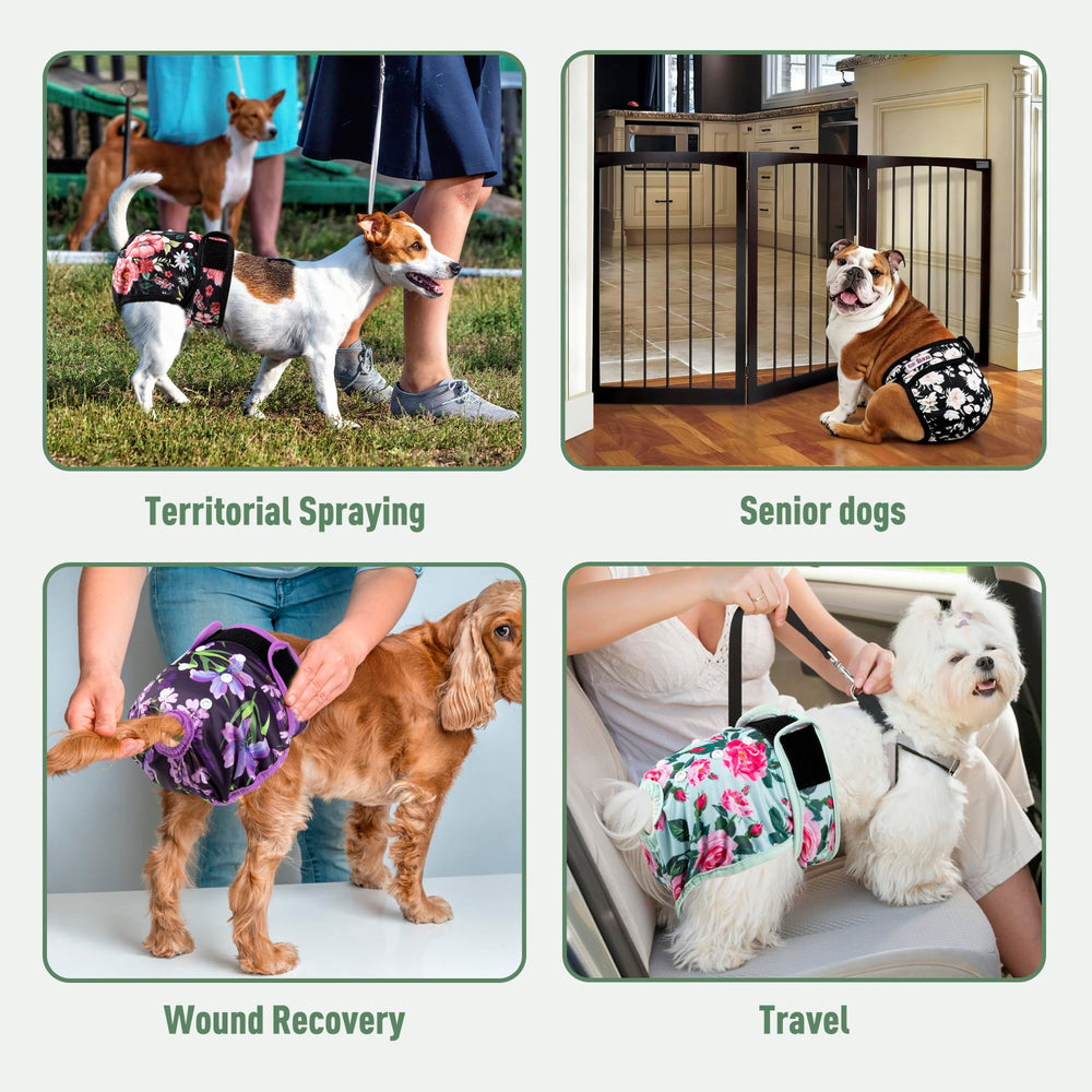 Fuz Bigaza – nettoyage et lavage faciles, couches réutilisables pour chien.