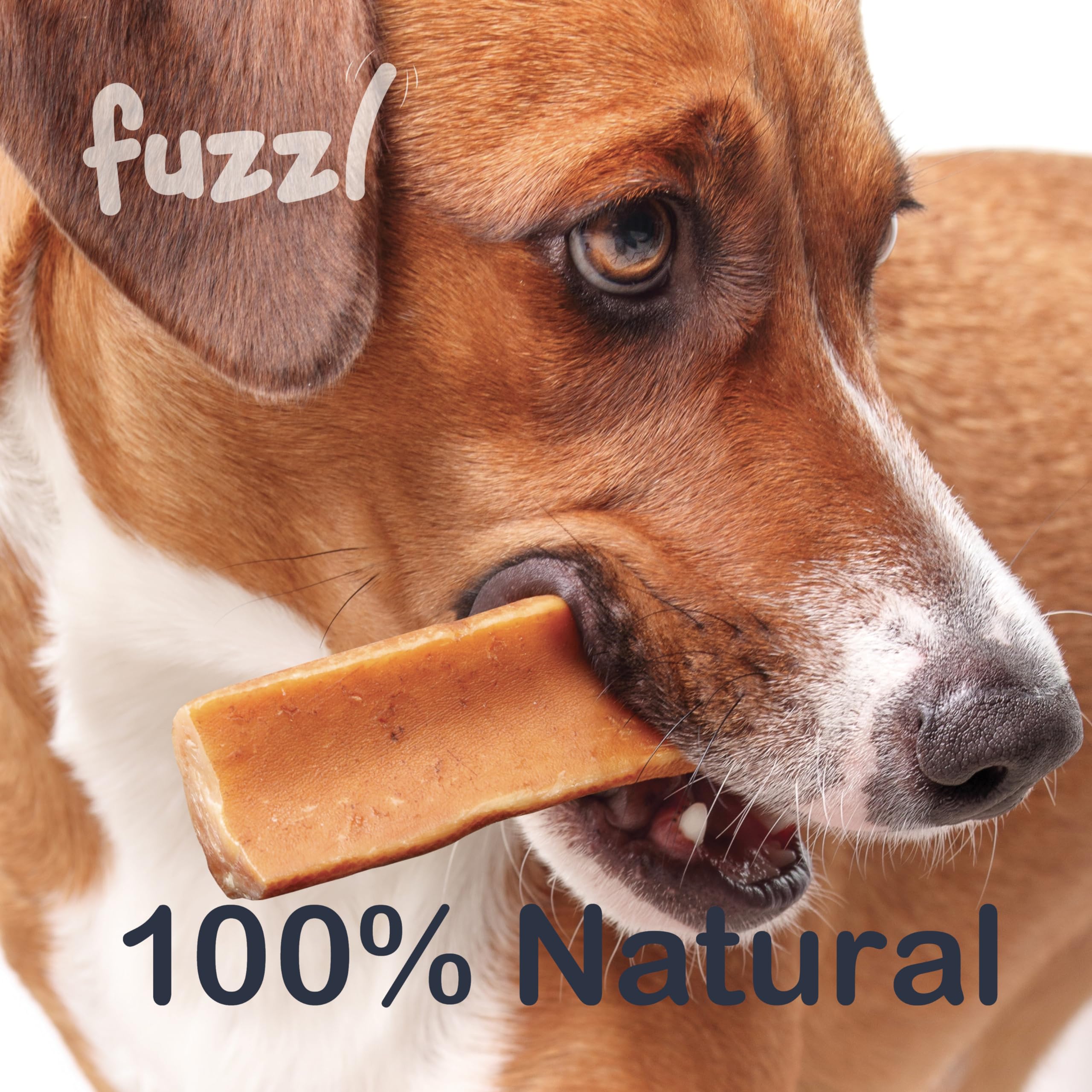 Soin dentaire naturel — les friandises Fuzzl favorisent la propreté.