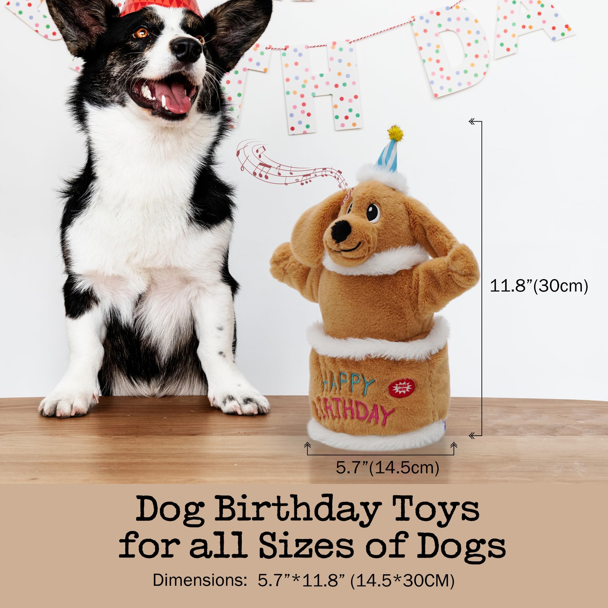 Fuzzwoof chien-danse-jouet-musical, divertissement actif pour chien à l intérieur