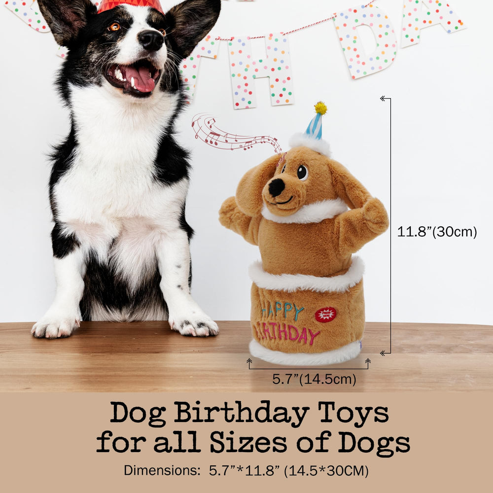 Fuzzwoof chien-danse-jouet-musical, divertissement actif pour chien à l intérieur