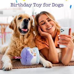 Gâteau intérieur crinkle Fuzzwoof, jeu prolongé et curiosité du chien.