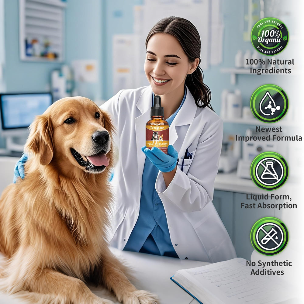 Engagement qualité et satisfaction Fuzzycare pour le bien‑être canin.