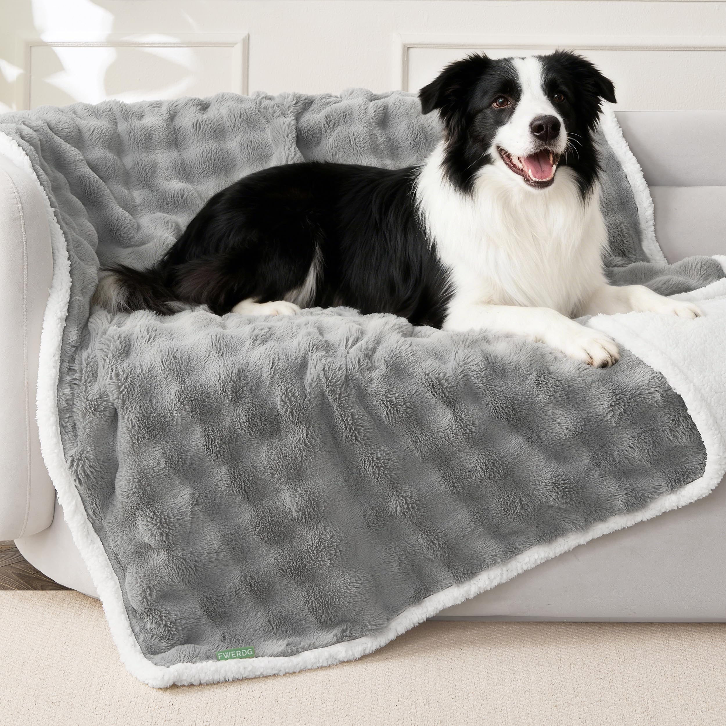 Couverture FWERDG pour chien gris, douceur et imperméabilité sur canapé et lit.
