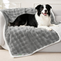 Couverture FWERDG pour chien gris, douceur et imperméabilité sur canapé et lit.