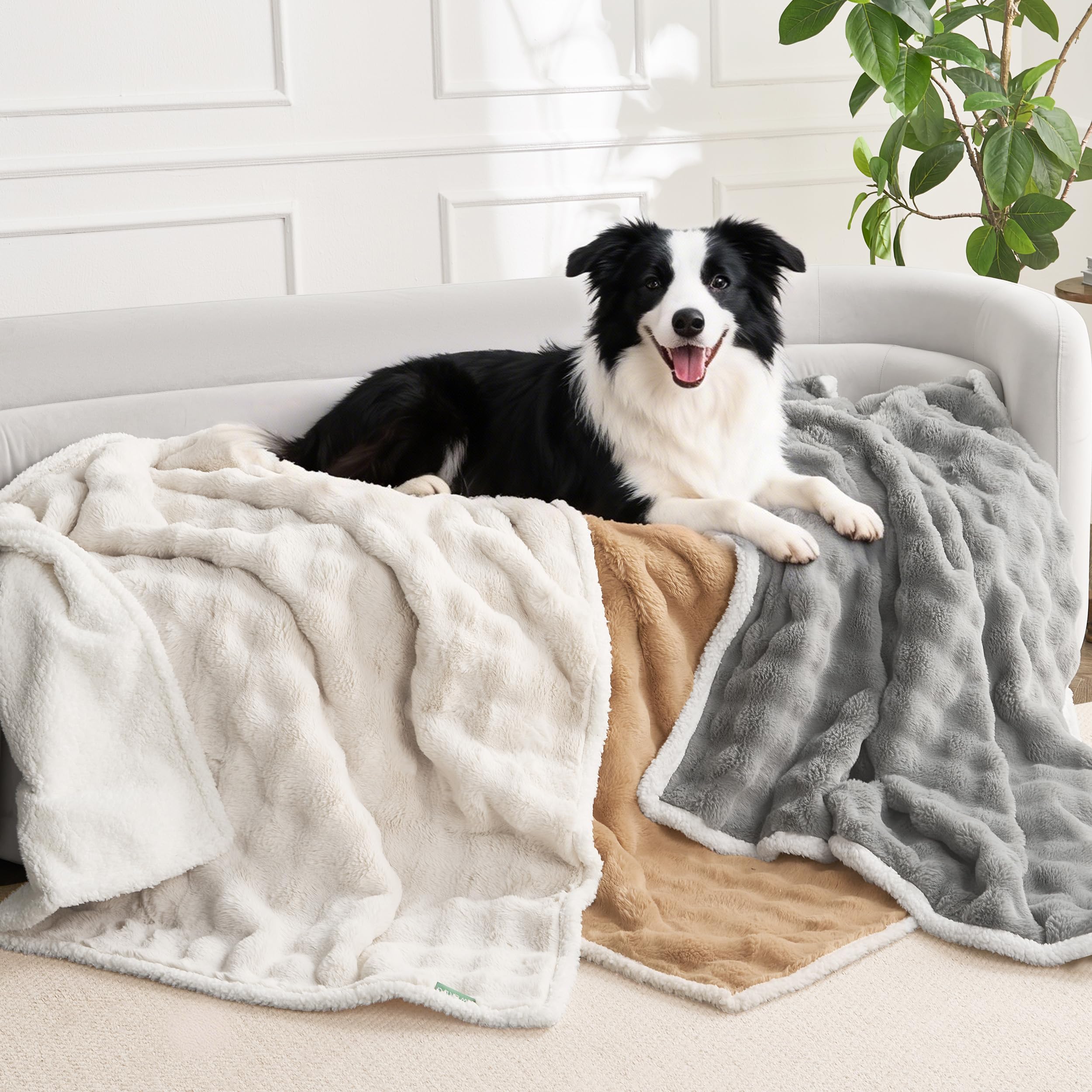 La couverture FWERDG présente un motif bulle pour décor cosy et tactile.