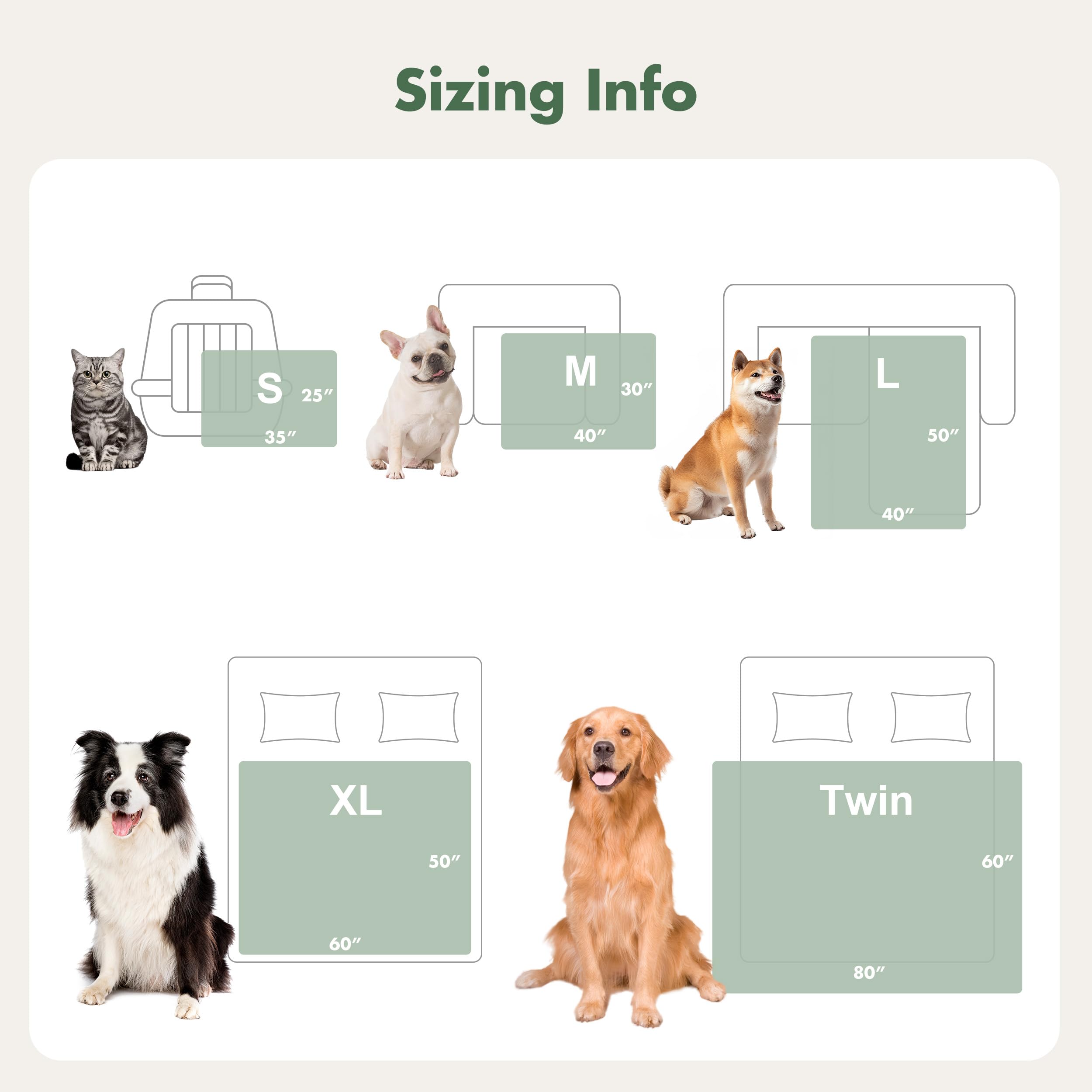 Sécurité et confort quotidien pour chien par FWERDG