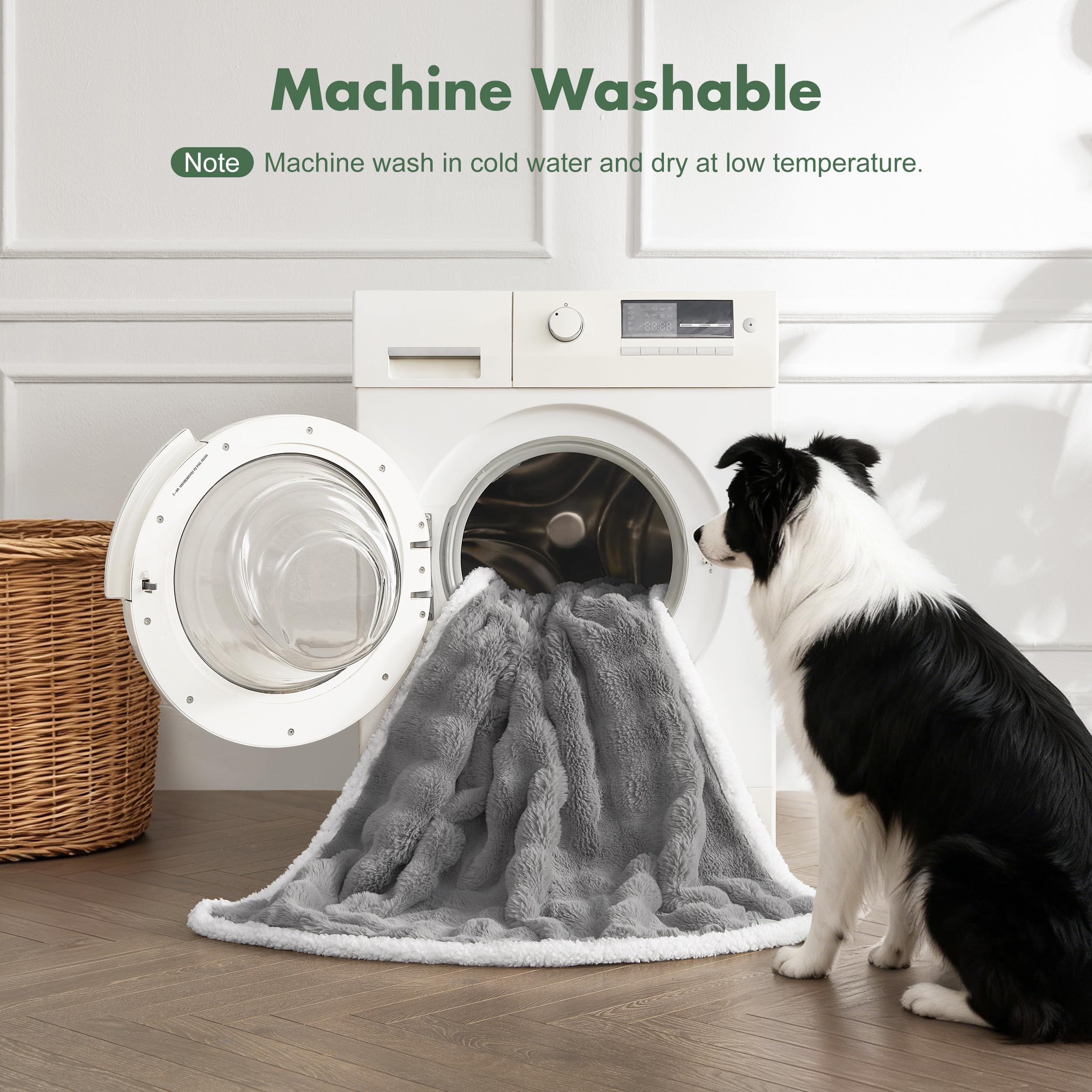 Tailles variées FWERDG offrant sécurité et confort pour grands chiens.