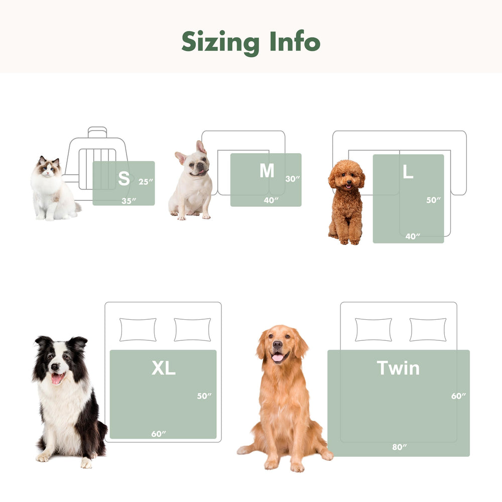 FWERDG taille variée adaptée aux chiots et petits chiens.