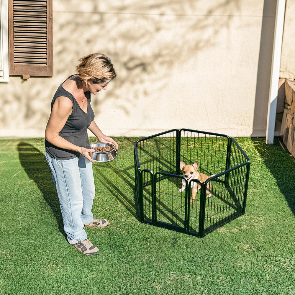 FXW Rollick porte automatique: fermeture sûre et pratique pour accéder au chenil.