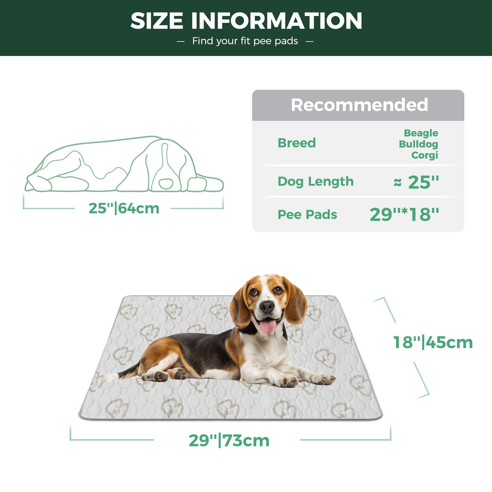 FXW tapis absorbant doublure coton, couche épaisse retient l'humidité pour les accidents.