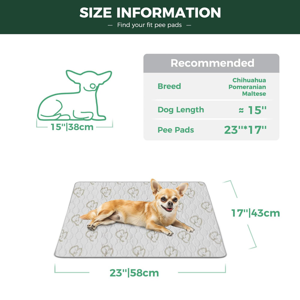 FXW tapis chienne anti-fuite avec TPU, protège sols et meubles.